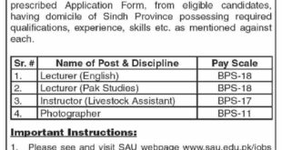 Sindh Agriculture University Jobs